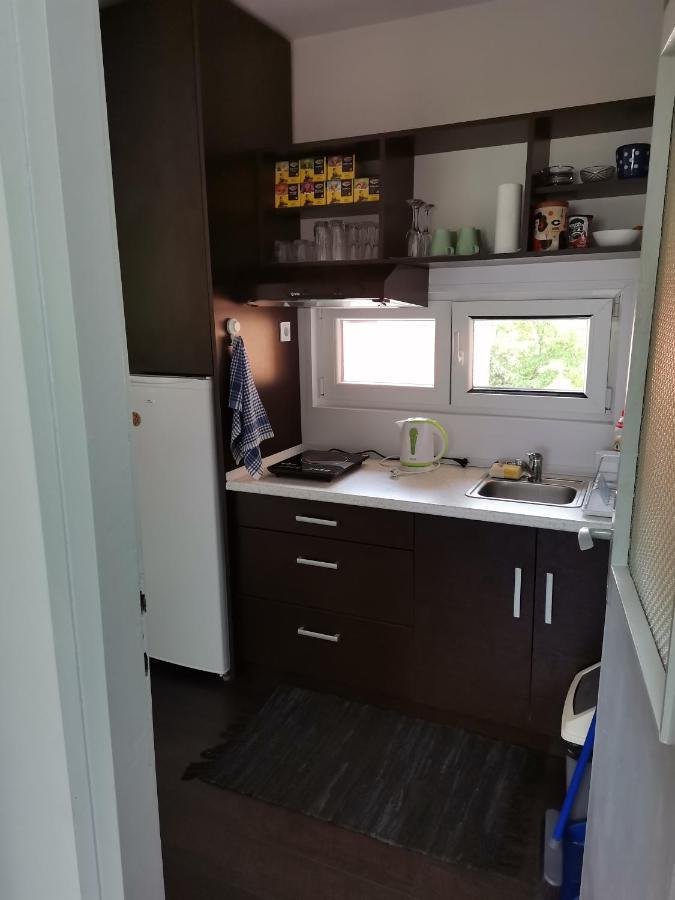 Apartman Terassa Donji Milanovac Exterior photo