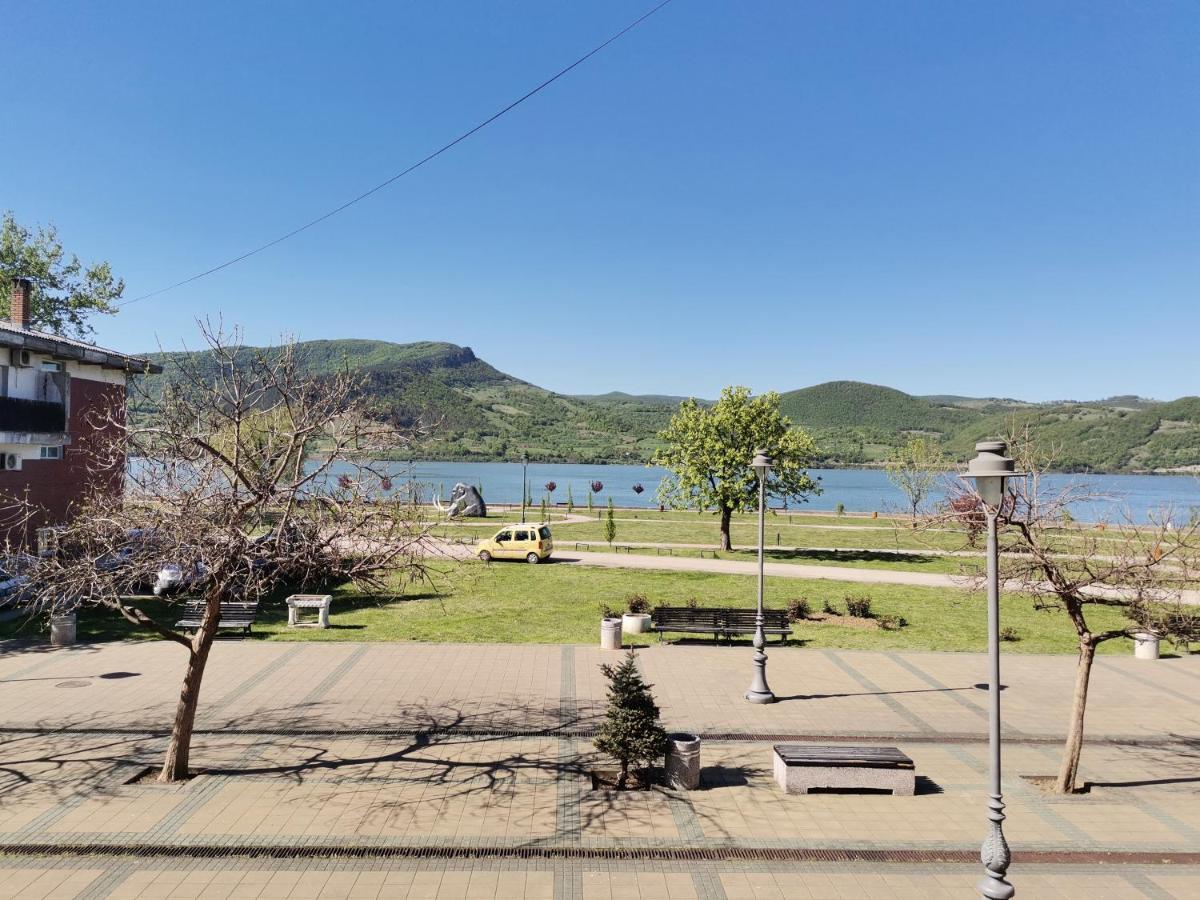 Apartman Terassa Donji Milanovac Exterior photo