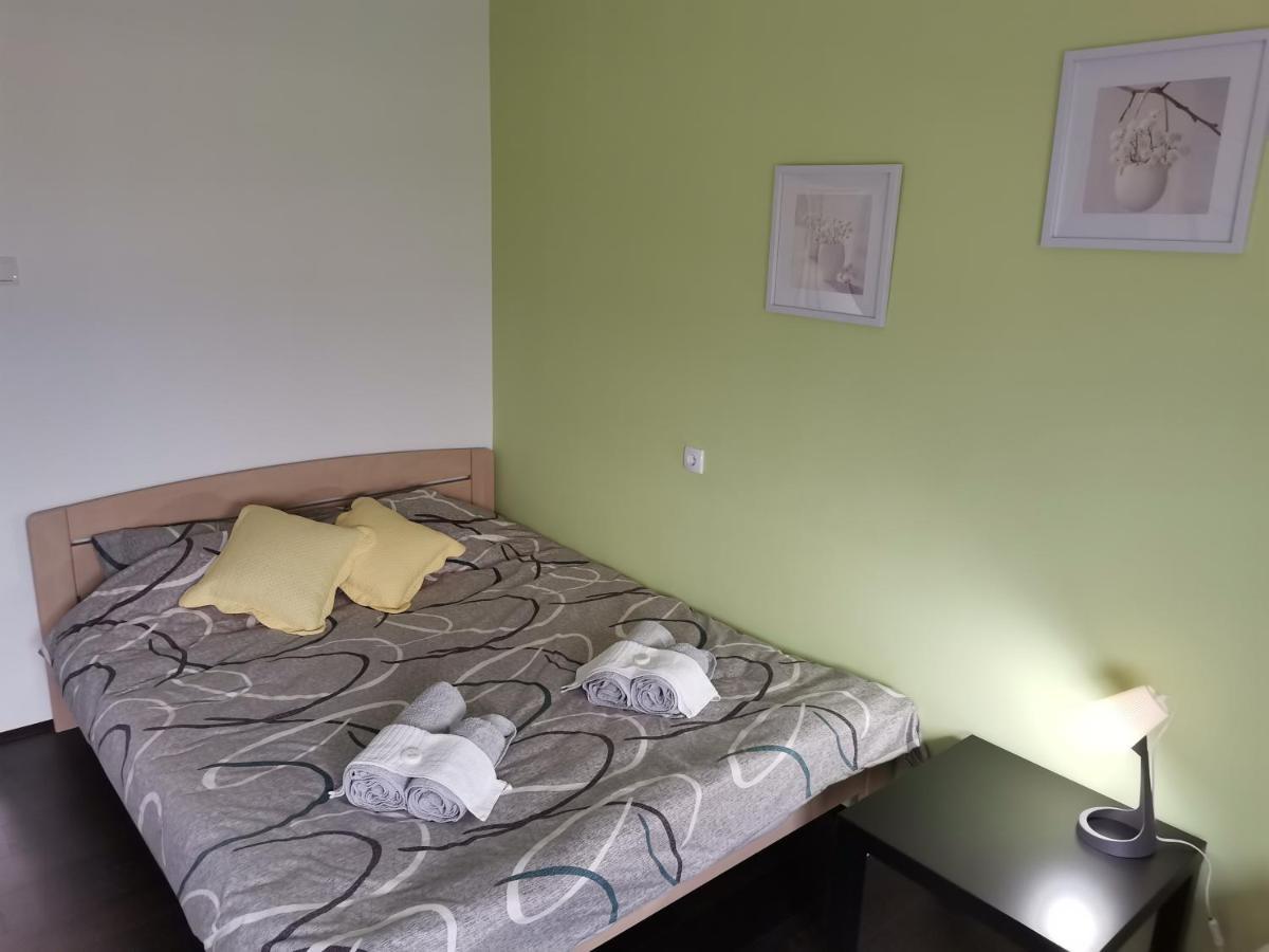 Apartman Terassa Donji Milanovac Exterior photo