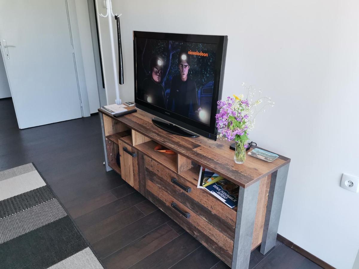 Apartman Terassa Donji Milanovac Exterior photo