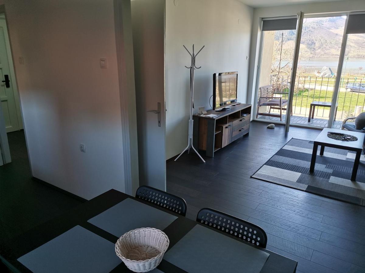 Apartman Terassa Donji Milanovac Exterior photo