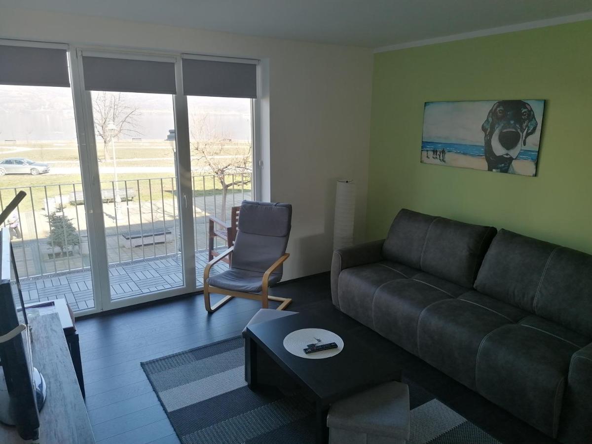 Apartman Terassa Donji Milanovac Exterior photo