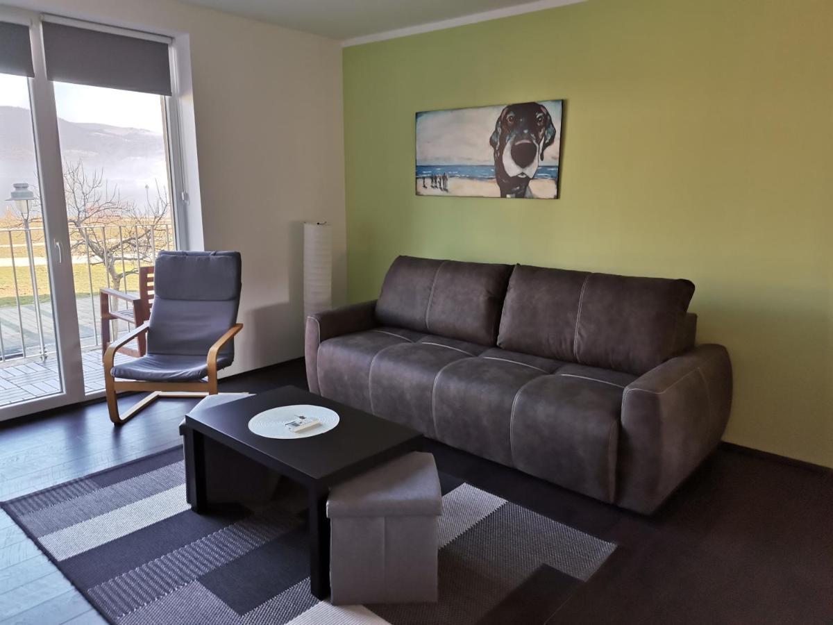 Apartman Terassa Donji Milanovac Exterior photo