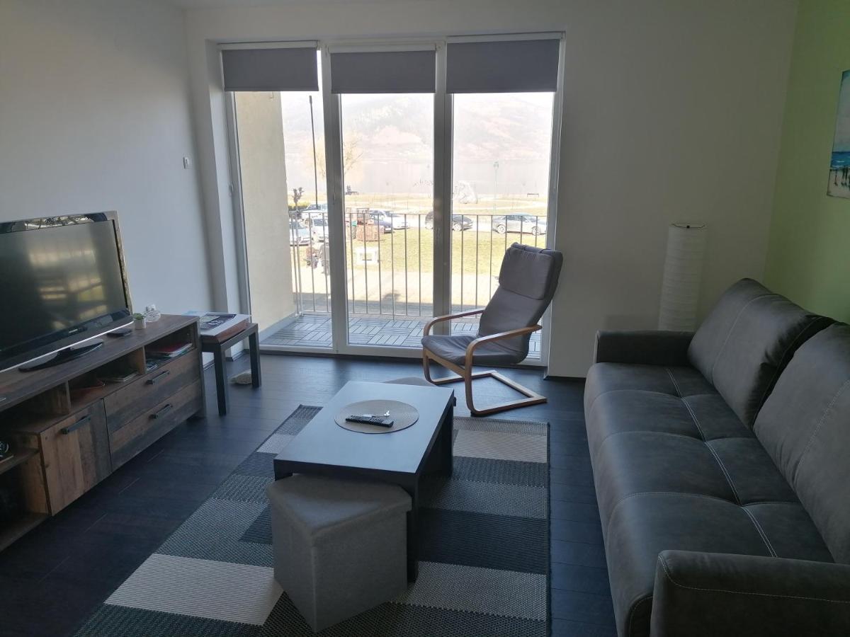 Apartman Terassa Donji Milanovac Exterior photo
